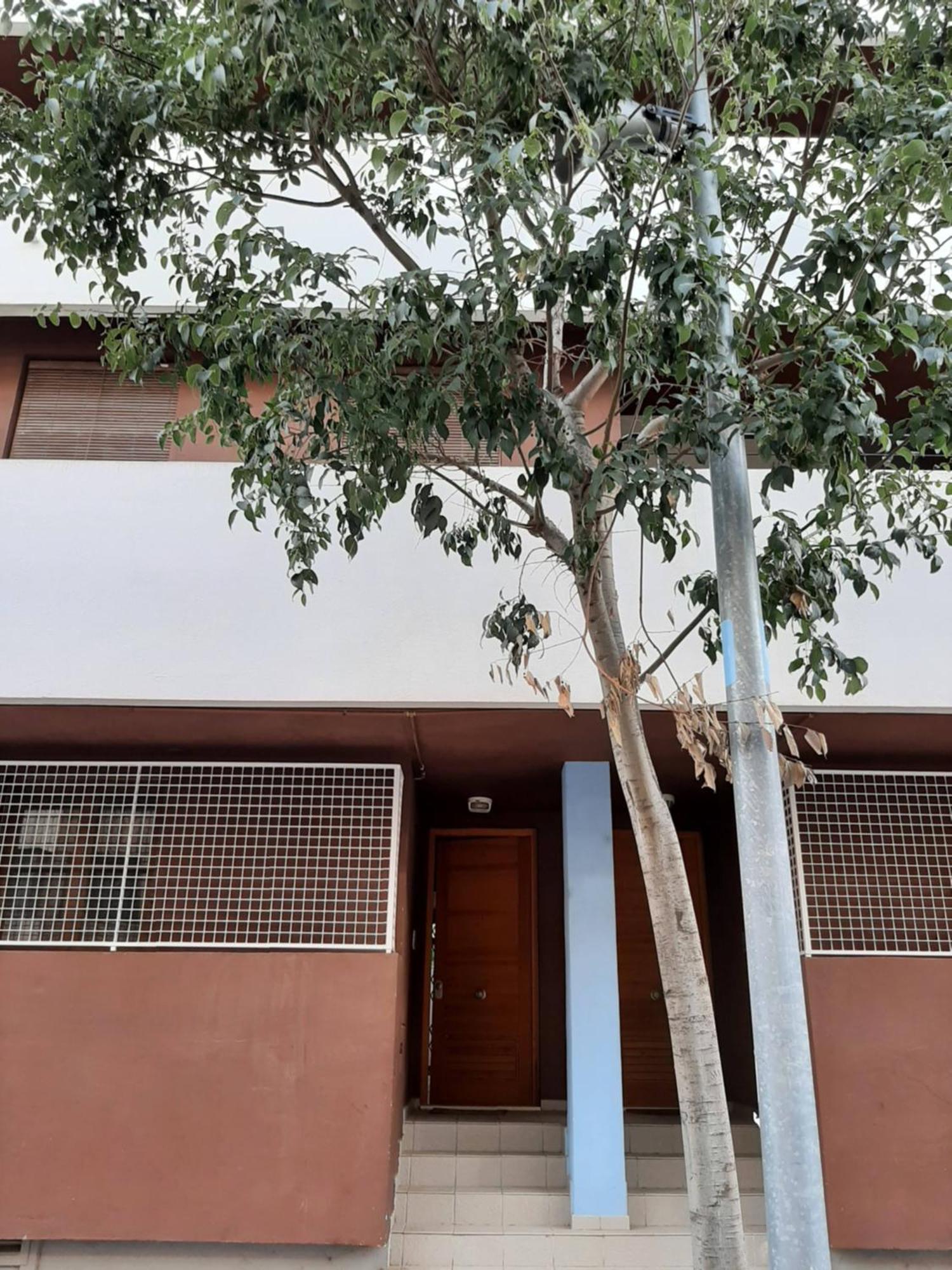 Casa Lliri Con Piscina En Massalfassar Valencia Apartment Luaran gambar